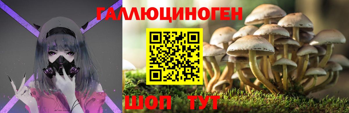 Галлюциногенные грибы мицелий Сорочинск